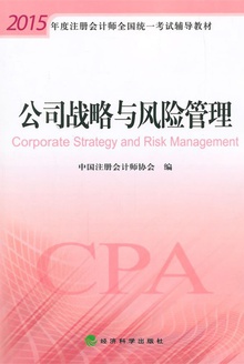 公司战略与风险管理