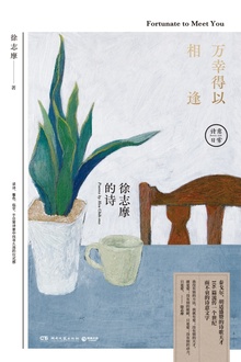 万幸得以相逢:徐志摩的诗
