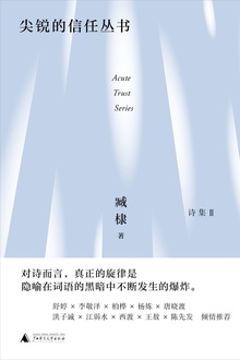 尖锐的信任丛书