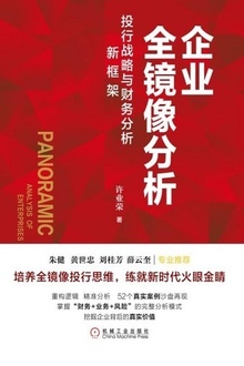 企业全镜像分析