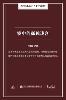 镜中的孤独迷宫