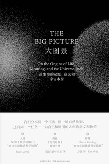 大图景:论生命的起源、意义和宇宙本身
