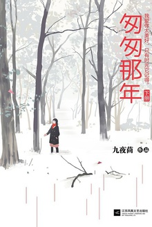 匆匆那年(下册)