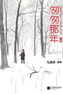 匆匆那年(上册)