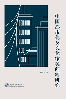 中国都市化及文化审美问题研究