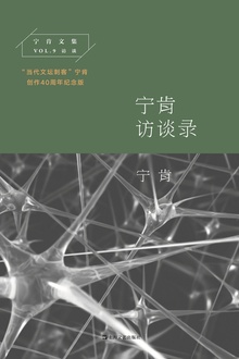 宁肯访谈录