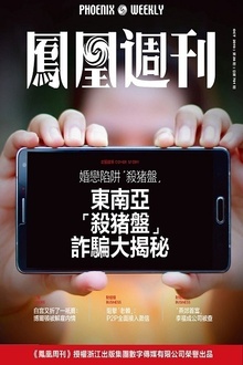 东南亚“杀猪盘”诈骗大揭秘