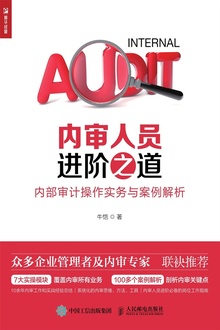 内审人员进阶之道:内部审计操作实务与案例解析
