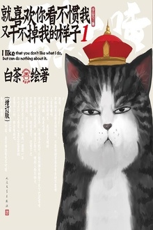 就喜欢你看不惯我又干不掉我的样子1(增订版)