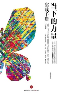 当下的力量实践手册(白金版)
