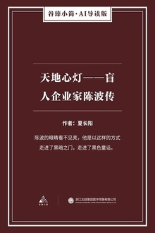 天地心灯:盲人企业家陈波传