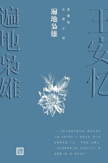 遍地枭雄