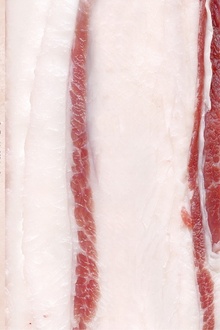 肥肉(增订版)
