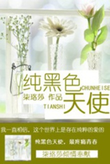 纯黑色天使