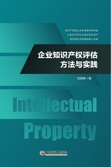 企业知识产权评估方法与实践