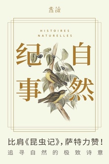 ��Ȼ����