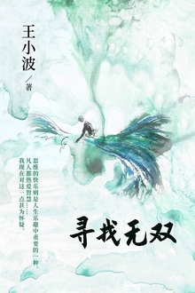 寻找无双