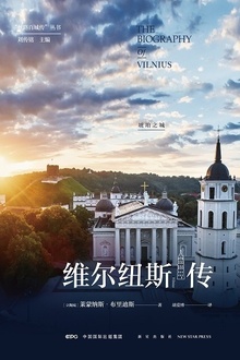 维尔纽斯传:琥珀之城