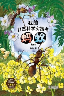 我的自然科学实践书·蚂蚁