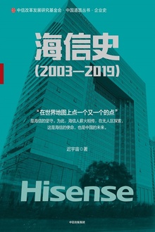 海信史(2003—2019)