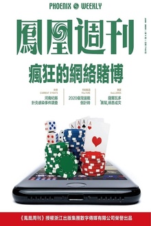 疯狂的网络赌博