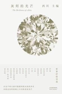 世界抒情诗选:灰烬的光芒