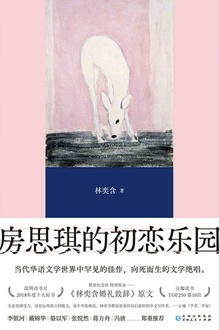 房思琪的初恋乐园(精装版)