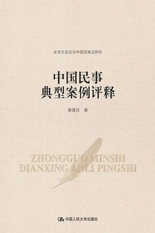 中国民事典型案例评释