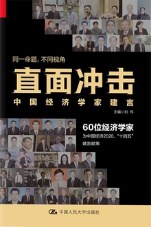 直面冲击:中国经济学家建言