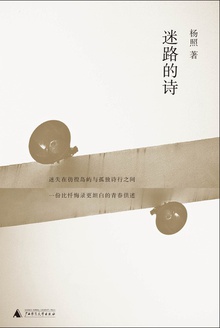 迷路的诗