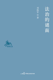 法治的谜面