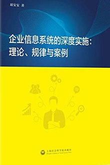 企业信息系统的深度实施:理论、规律与案例