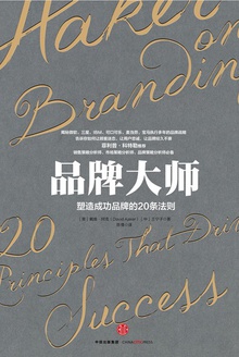 品牌大师:塑造成功品牌的20条法则