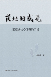 落地的感觉——家庭成长心理咨询手记