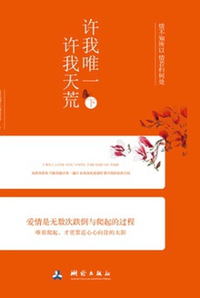 许我唯一,许我天荒·下