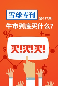 雪球专刊047期——牛市到底买什么?