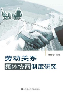 劳动关系集体协商制度研究