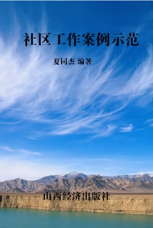 社区工作案例示范