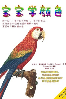宝宝学颜色