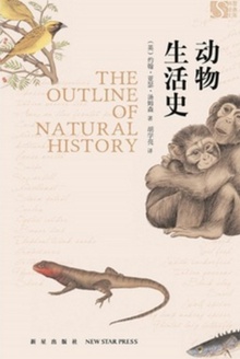 动物生活史