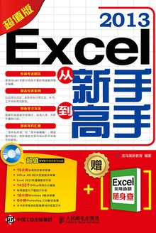 Excel 2013从新手到高手(超值版)