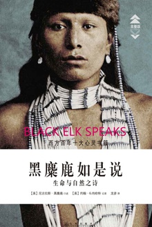 黑麋鹿如是说