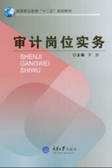 审计岗位实务