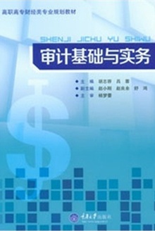 审计基础与实务