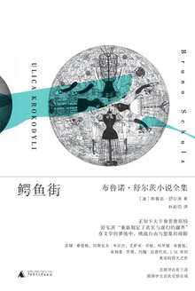 鳄鱼街:布鲁诺·舒尔茨小说全集