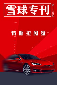 雪球专刊115期——特斯拉风暴