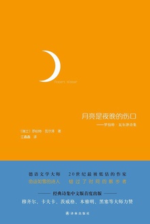 月亮是夜晚的伤口