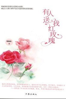 有人送我红玫瑰