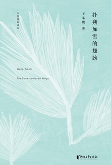 扑朔如雪的翅膀