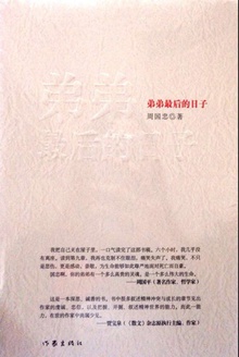 弟弟最后的日子